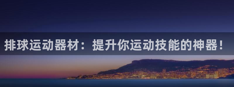 熊猫体育娱乐首页官网下载：排球运动器材：提升你运动技能的神器