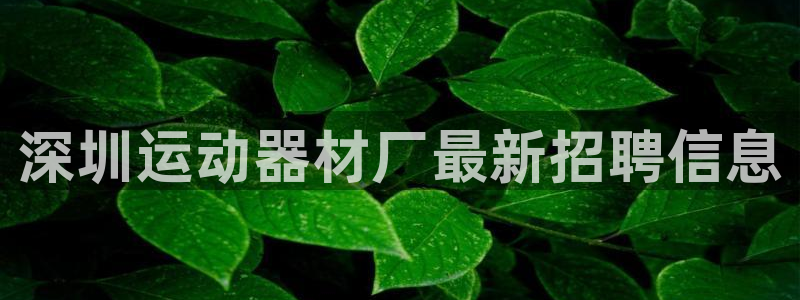 熊猫体育官网下载是干嘛的公司：深圳运动器材厂最新招聘信息