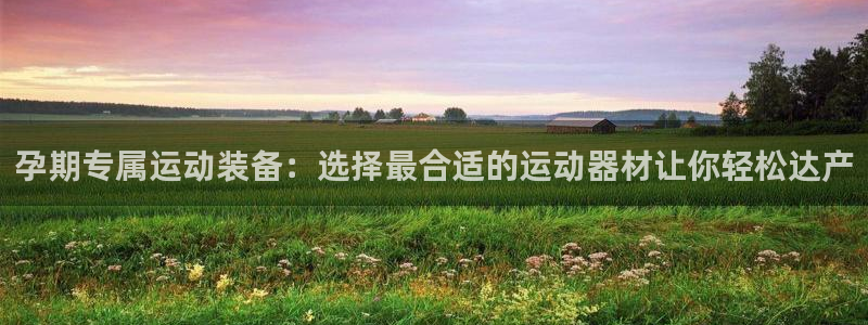 熊猫体育新能源：孕期专属运动装备：选择最合适的运动器